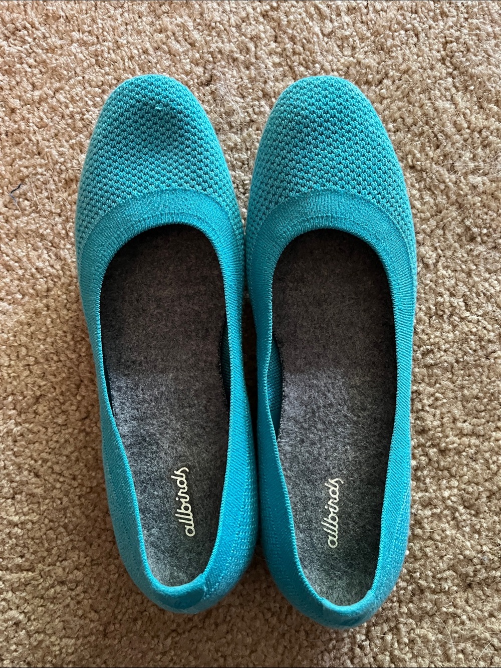 allbirds Teal Knit Ballet Flats